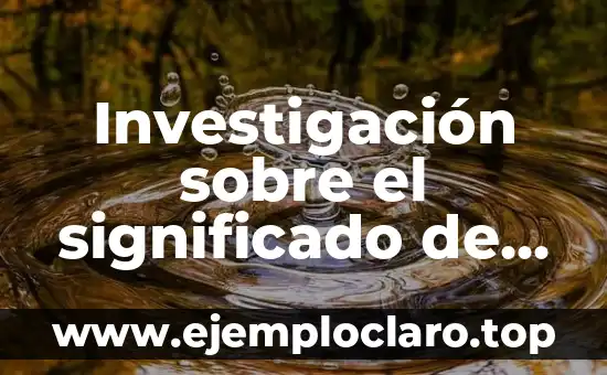 Investigación sobre el significado de inmigrante
