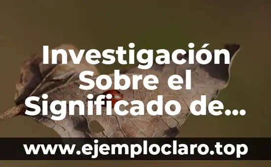 Investigación Sobre el Significado de la Reflexión