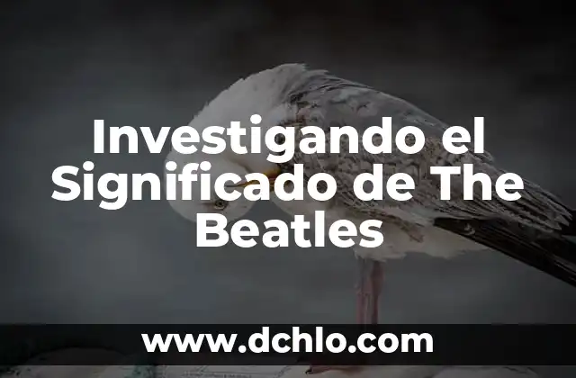 Significado del Volcán de Evermann 7 Investigando el Significado de The Beatles