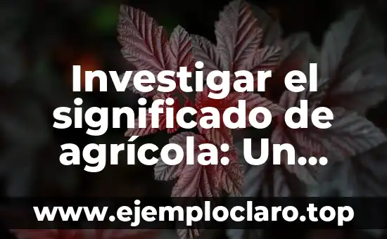 Investigar el significado de agrícola: Un viaje al origen de la agricultura