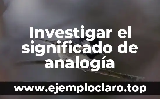 Investigar el significado de analogía
