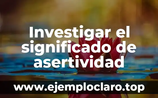 Investigar el significado de asertividad