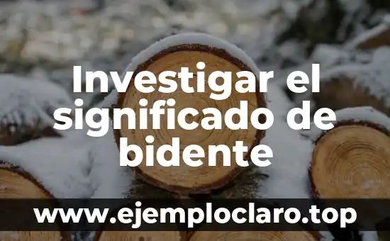 Investigar el significado de bidente