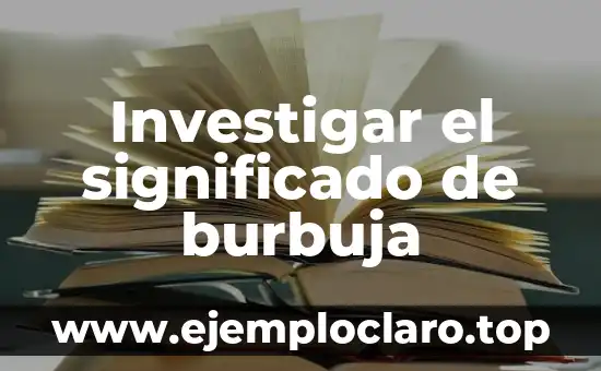 Investigar el significado de burbuja
