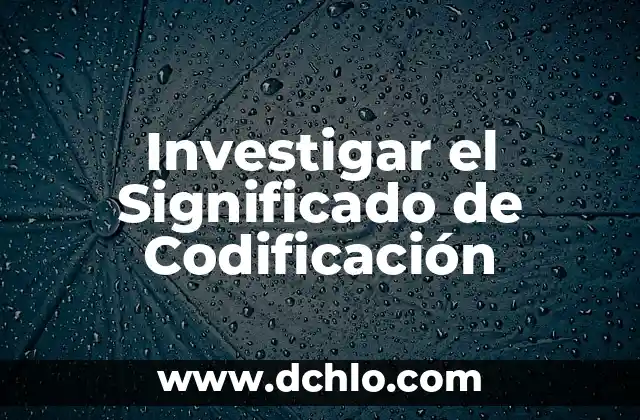 Significado de Soplamocos 4 Investigar el Significado de Codificación