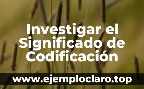 Investigar el Significado de Codificación
