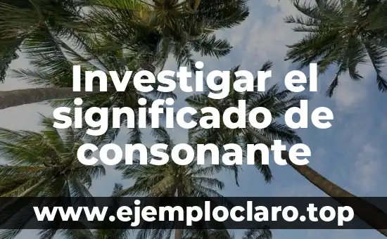 Investigar el significado de consonante