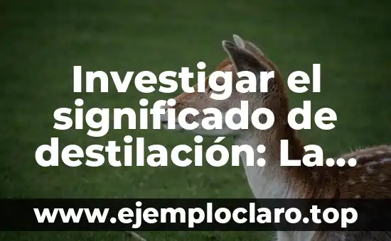 Investigar el significado de destilación: La purificación de líquidos