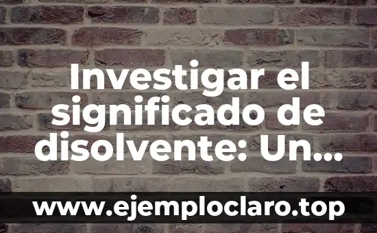 Investigar el significado de disolvente: Un enfoque detallado