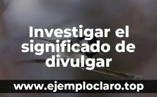 Investigar el significado de divulgar