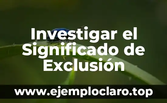 Investigar el Significado de Exclusión