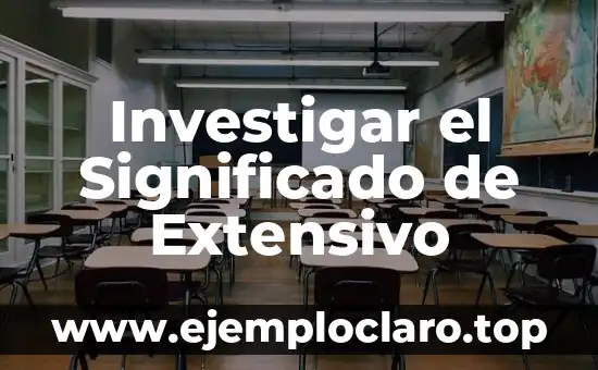 Investigar el Significado de Extensivo