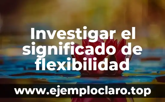 Investigar el significado de flexibilidad