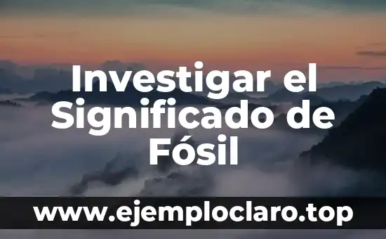 Investigar el Significado de Fósil