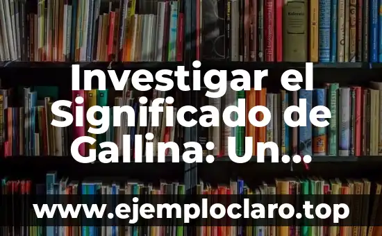 Investigar el Significado de Gallina: Un Viaje Lingüístico y Cultural