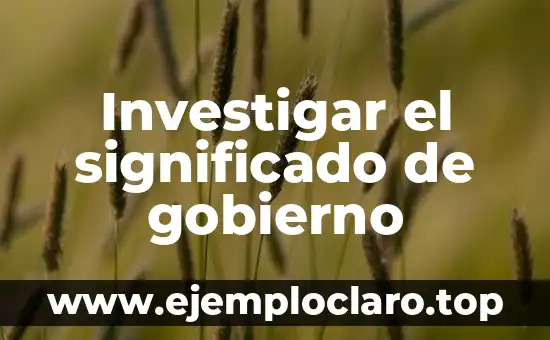 Investigar el significado de gobierno
