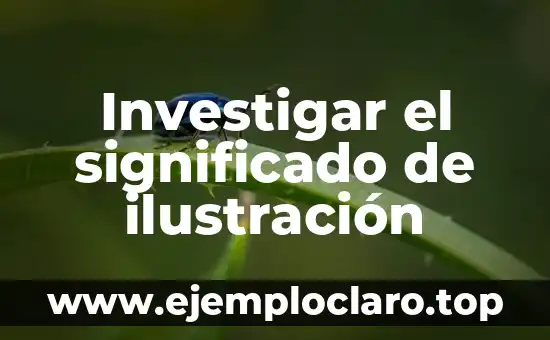 Investigar el significado de ilustración