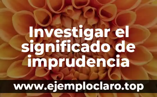 Investigar el significado de imprudencia