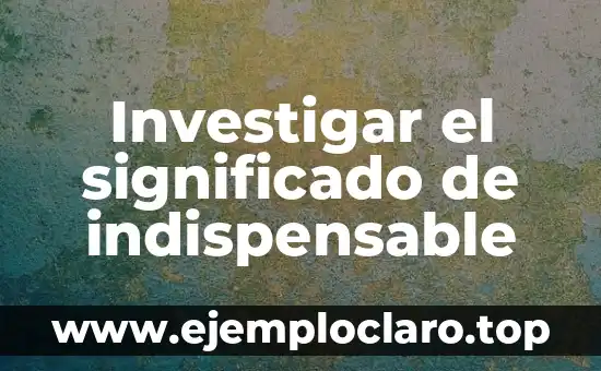 Investigar el significado de indispensable