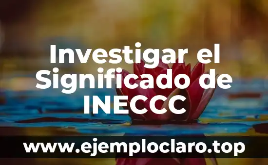 Investigar el Significado de INECCC