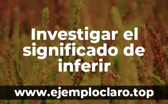 Investigar el significado de inferir