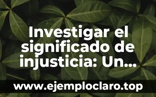 Investigar el significado de injusticia: Un enfoque profundo en la Justicia Social