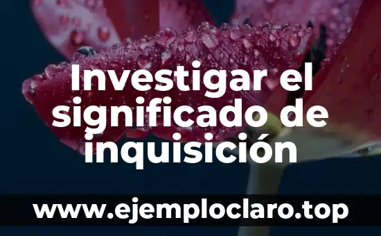 Investigar el significado de inquisición