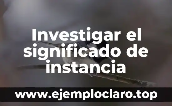 Investigar el significado de instancia