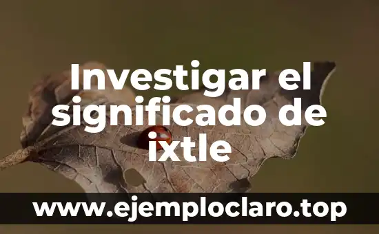 Investigar el significado de ixtle