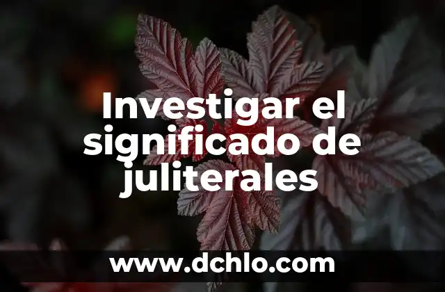 Significado del Uniforme de Soldado 8 Investigar el significado de juliterales