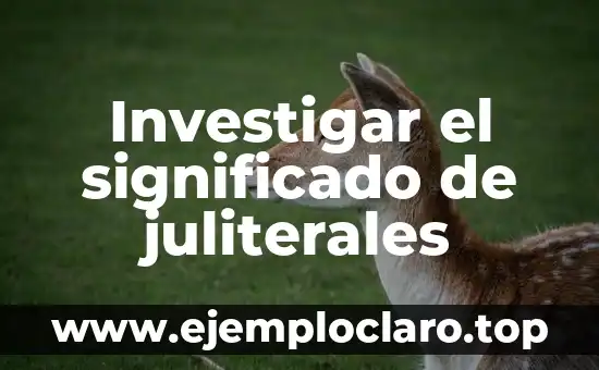 Investigar el significado de juliterales