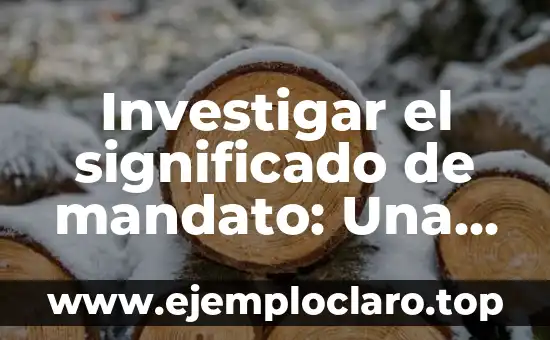 Investigar el significado de mandato: Una guía completa