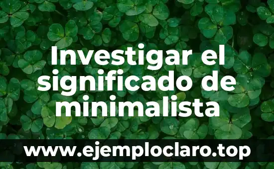 Investigar el significado de minimalista