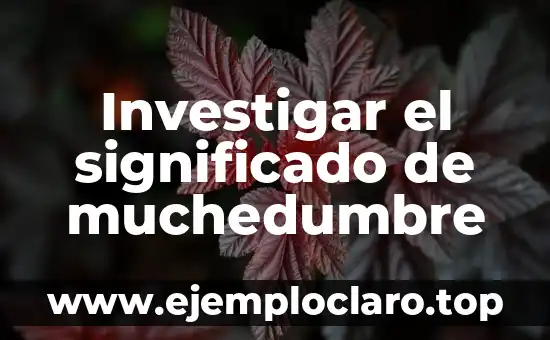 Investigar el significado de muchedumbre