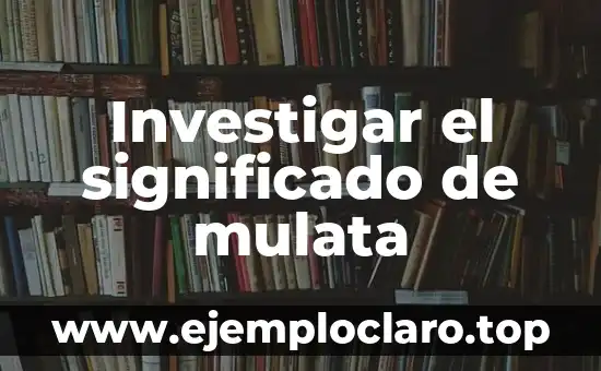 Investigar el significado de mulata