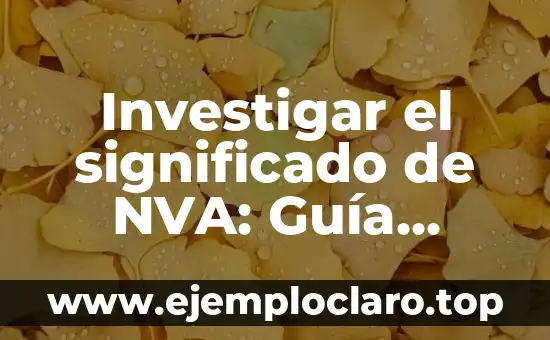 Investigar el significado de NVA: Guía Completa