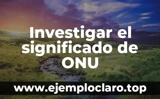 Investigar el significado de ONU