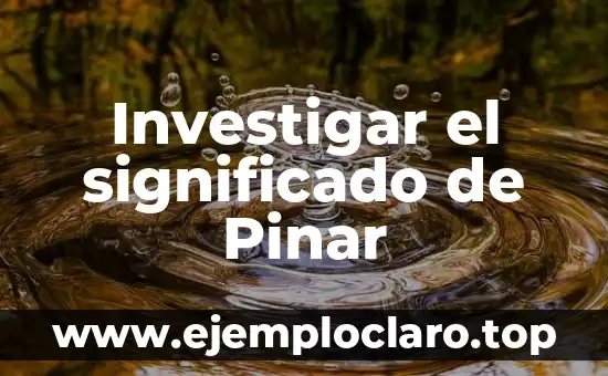 Investigar el significado de Pinar