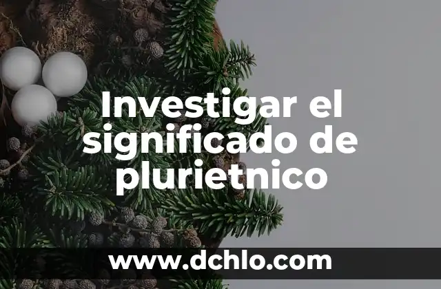 Investigar el significado de asertividad 8 Investigar el significado de plurietnico