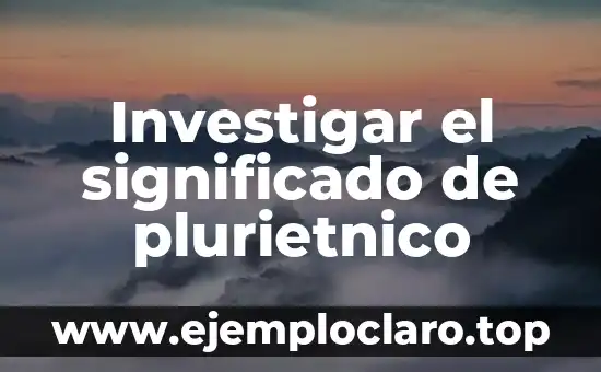 Investigar el significado de plurietnico