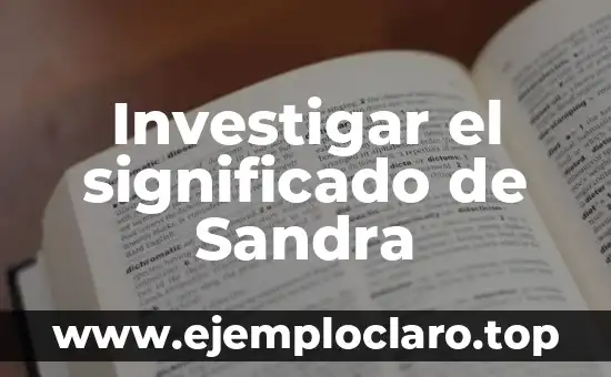 Investigar el significado de Sandra
