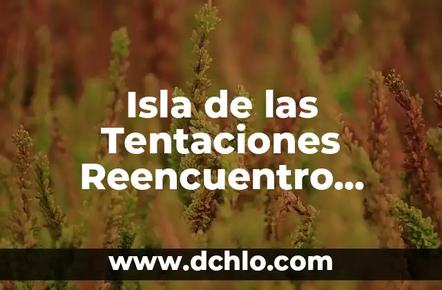 ¿Con quién está Elena de la Isla de las Tentaciones? 5 Isla de las Tentaciones Reencuentro Marieta: Todo lo que Necesitas Saber