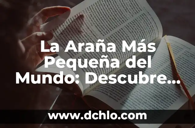 De qué color es el sol - Descubre la respuesta sorprendente 7 La Araña Más Pequeña del Mundo: Descubre la Sorprendente Patrulla de la Familia de Arácnidos