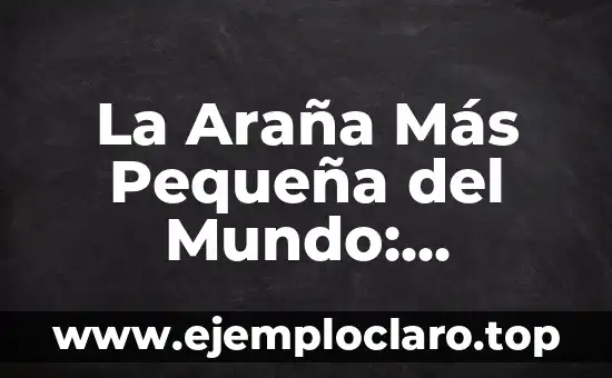 La Araña Más Pequeña del Mundo: Descubre la Sorprendente Patrulla de la Familia de Arácnidos
