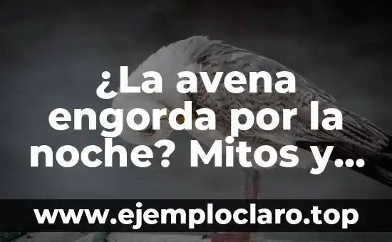 ¿La avena engorda por la noche? Mitos y verdades sobre el consumo nocturno de avena