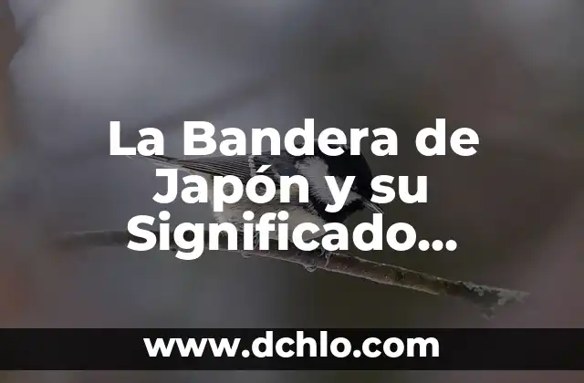 Japon Significado de la Bandera 6 La Bandera de Japón y su Significado Profundo