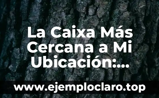 Significado de Sucursal: Todo lo que Necesitas Saber 5 La Caixa Más Cercana a Mi Ubicación: Encuentra la Sucursal Más Próxima