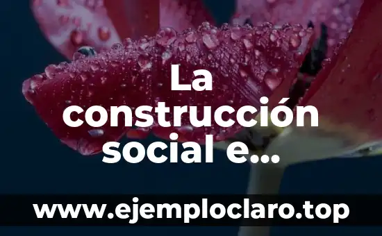 La Construcción Social de la Realidad: Un Enfoque Sociológico 5 La construcción social e individual de significados: Una guía completa