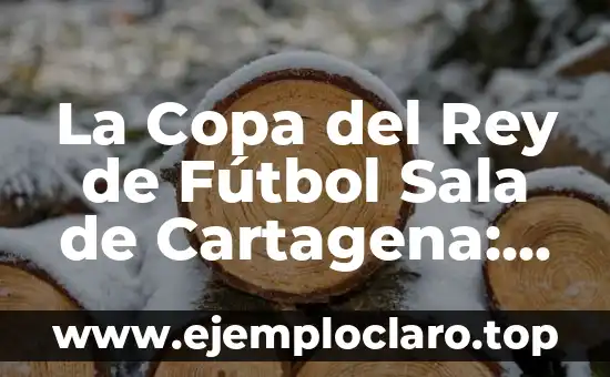 Año de Fundación del Real Madrid: Una Historia de Éxito 4 La Copa del Rey de Fútbol Sala de Cartagena: Historia y Emoción