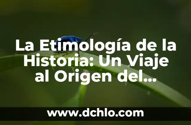 Descubriendo el Origen de la Lógica 7 La Etimología de la Historia: Un Viaje al Origen del Conocimiento